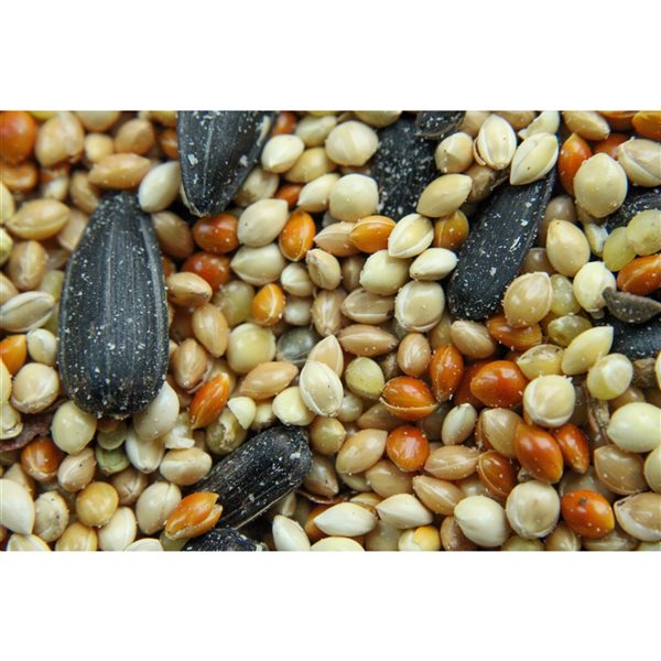 Mélange de graines de qualité supérieure pour oiseaux (1,8 kg