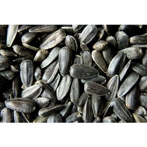 Pick of the Birds 9-kg Black Oil Sunflowers Kernels