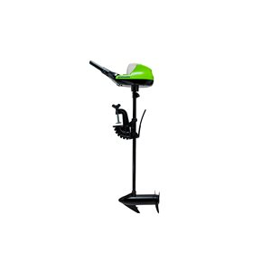 Propulseur électrique Greenworks 40 V 55 lb batterie incluse