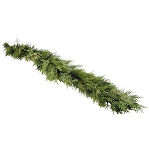 Guirlande de cèdre fraîche de Noël par Brookdale Treeland Nurseries de 25 pi