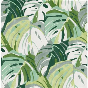 Papier peint autocollant NuWallpaper feuillage Adansonii vert en vinyle de 30,75 pi²