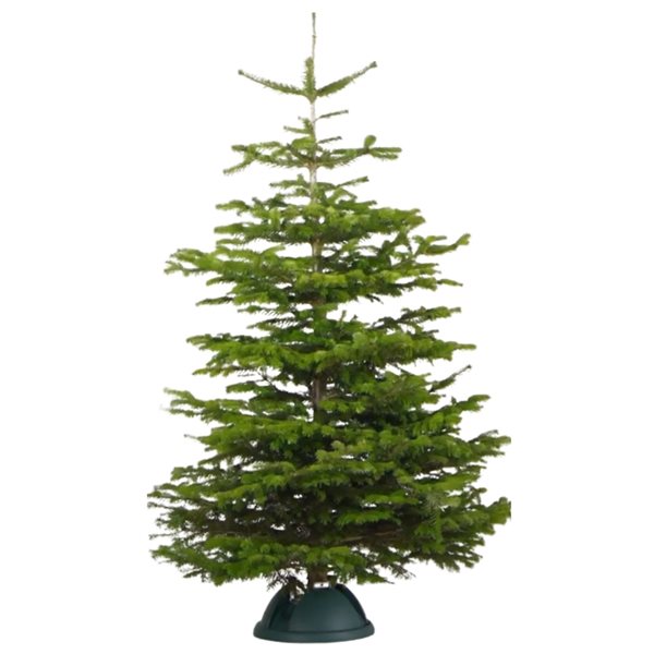 Super Grip 4.3-in Plastic Tree Stand for 7.5-ft Christmas Tree