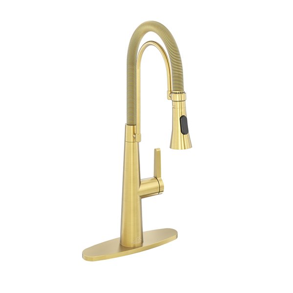 CASAINC Brushed Gold 1-Handle Deck Mount High-Arc Kitchen Faucet with Deck Plate