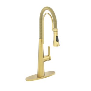 CASAINC Brushed Gold 1-Handle Deck Mount High-Arc Kitchen Faucet with Deck Plate