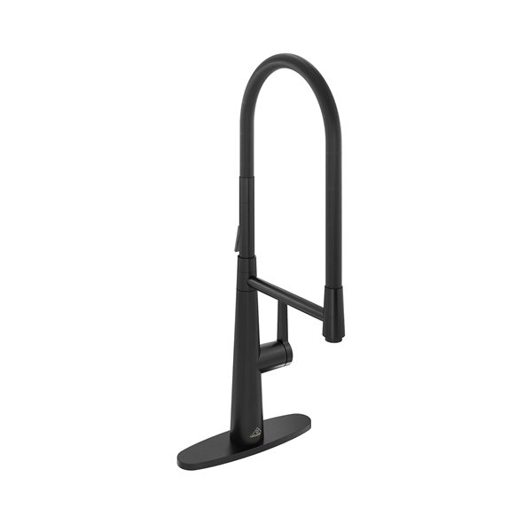 Image of Casainc | Black 1-Handle Deck Mount Pull-Out Kitchen Faucet With Deck Plate | Rona