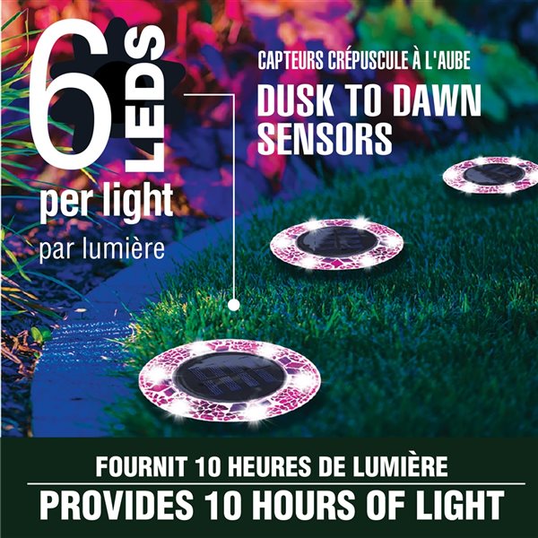 Bell + Howell 6 LED Mosaic Fuchsia Solar Disk Lights - 4-Pack