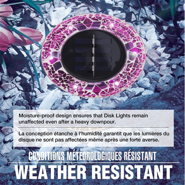 Bell + Howell 6 LED Mosaic Fuchsia Solar Disk Lights - 4-Pack