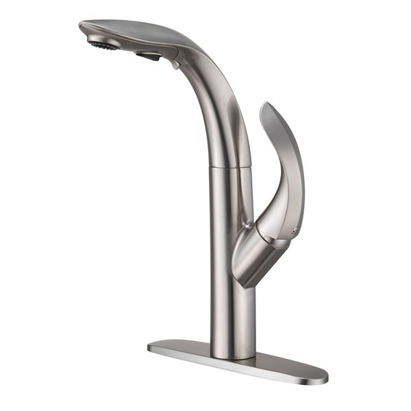 Mondawe Brushed Nickel 2-Function Pull-down 1-handle Deck Mount Kitchen Faucet