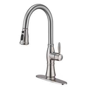 Mondawe Brushed Nickel 2-Function Pull-down 1-handle Deck Mount Kitchen Faucet