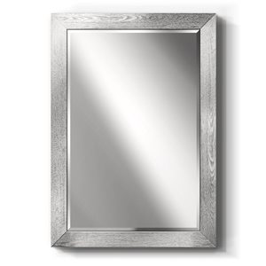 Wexford Home Barnwood 24-in x 36-in Silver Bevelled Mirror