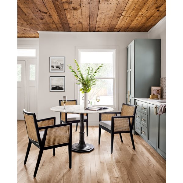 TAKE ME HOME Tonal Cane Dining Arm Chair - Set of 2