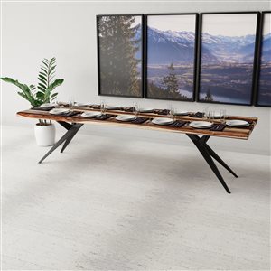 Corcoran Sheesham 120-in x 40-in Dinning Table with Airloft Legs