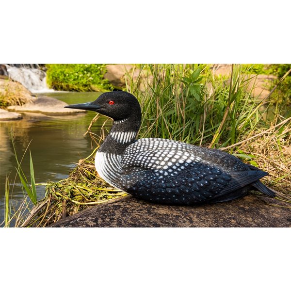 Hi-Line Gift Ltd. 9.06-in H x 8.46-in W Common Loon Garden Statue