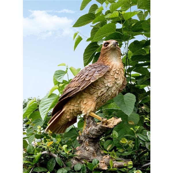Hi-Line Gift Ltd. 17.52-in H x 8.07-in W Brown Wild Hawk Garden Statue