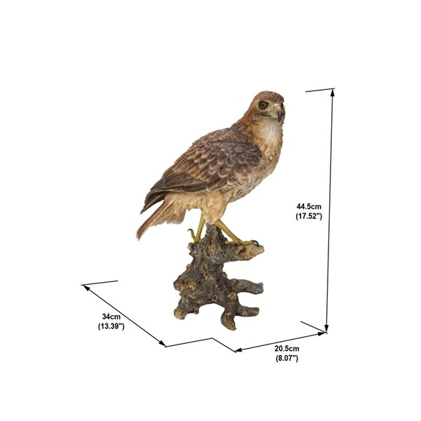 Hi-Line Gift Ltd. 17.52-in H x 8.07-in W Brown Wild Hawk Garden Statue