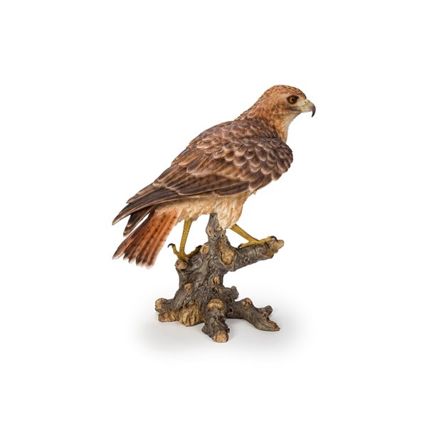 Hi-Line Gift Ltd. 17.52-in H x 8.07-in W Brown Wild Hawk Garden Statue