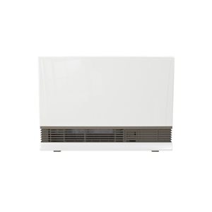 Rinnai 38,400-BTU Indoor Electric Start Natural Gas Heater in Beige
