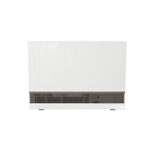 Rinnai 38,400-BTU Indoor Electric Start Natural Gas Heater in White