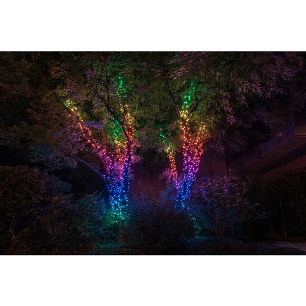 Guirlandes de Noël 600 LED 157.5 pieds  multifonctions à couleurs changeantes pour l'intérieur et l'extérieur par Twinkly