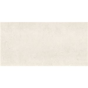 Mono Serra Tundra Grey 10-in x 24-in Ceramic Wall Tile - 9-Pack
