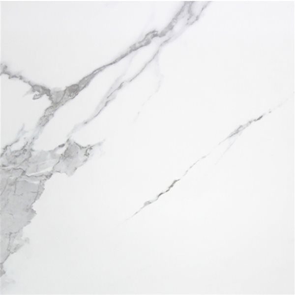 Mono Serra Carrara White 24-in x 24-in Porcelain Tile - 4-Pack