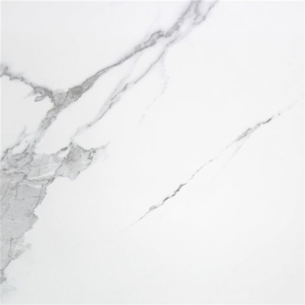 Mono Serra Carrara 24 x 24-In Polished White Porcelain Tiles 4-Pack