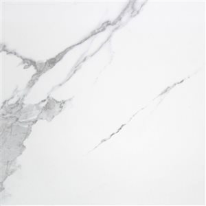 Mono Serra Carrara Polished White 24-in x 24-in Porcelain Tile - 4-Pack