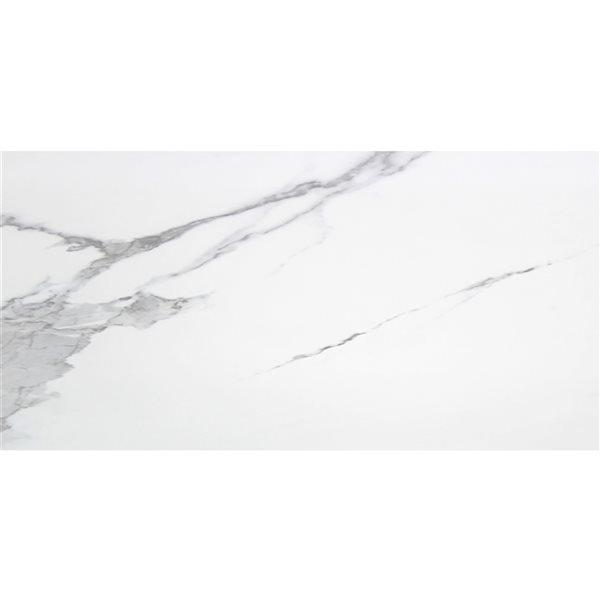 Tuile de porcelaine Carrara par Mono Serra de 12 po x 24 po, paquet de 5