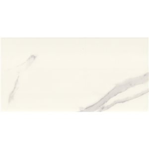 Mono Serra Carrara White 10-in x 24-in Ceramic Wall Tile - 9-Pack