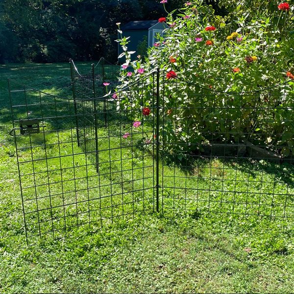 Zippity Outdoor Products Black Metal No-Dig Garden Fence/Gate Bundle  WF29014