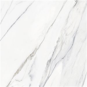 Mono Serra Calacatta Polished White 24-in x 24-in Porcelain Tile - 4-Pack