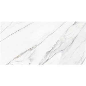 Mono Serra Calacatta Polished White 12-in x 24-in Porcelain Tile - 8-Pack