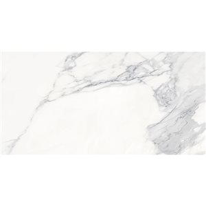 Mono Serra Calacatta Matte White 24-in x 48-in Porcelain Tile - 2-Pack