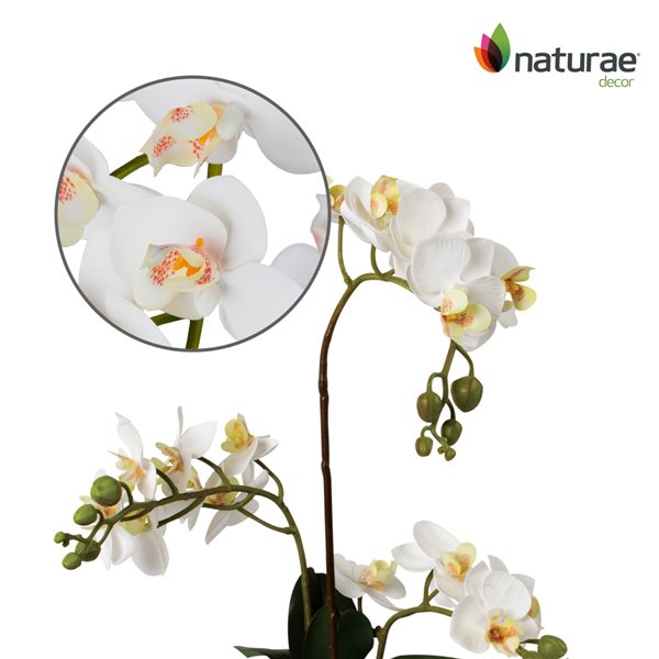 Orchidée blanche artificielle Naturae Decor de 17 po en pot blanc