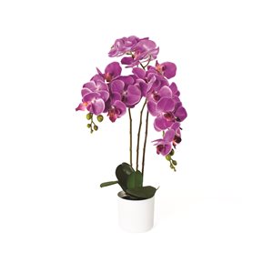 Orchidée rose artificielle Naturae Decor de 21 po en pot blanc