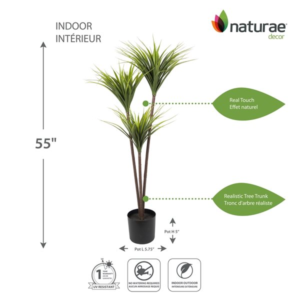 Dracaena artificiel Naturae Decor de 55 po en pot noir