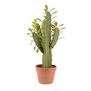 Cactus artificiel Naturae Decor de 25 po en pot de terracotta