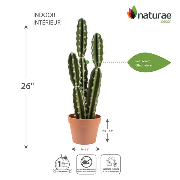 Cactus Déco Intérieur – Plante Artificielle Déco