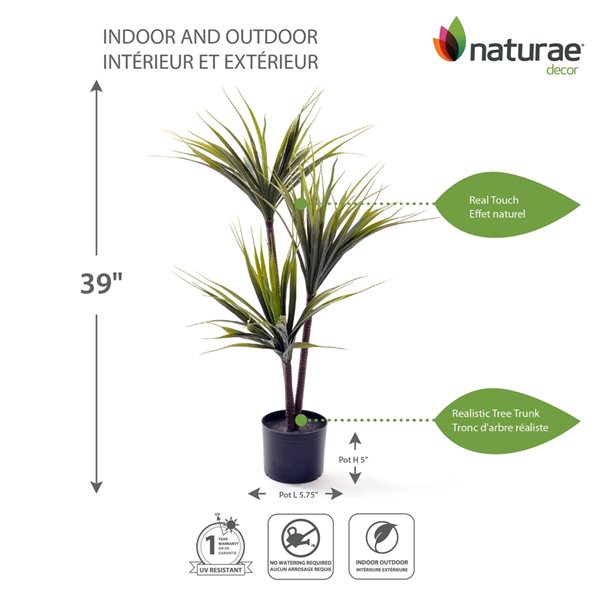 Naturae Decor 39-in Artificial Dracaena in Black Pot