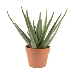 Naturae Decor 17-in Artificial Aloe Vera in Terracotta Pot