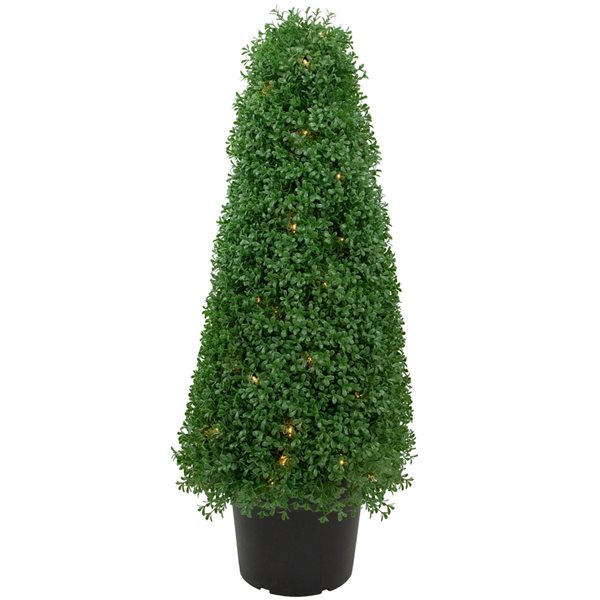 Big cone shaped topiary tree on transparent background 17296576