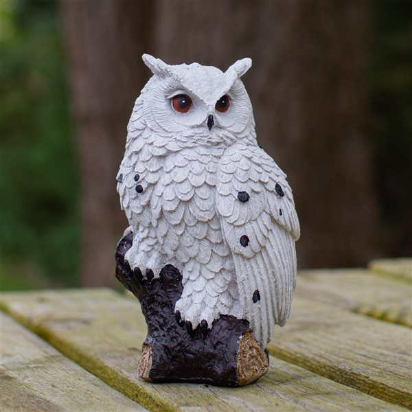 Northlight White Owl Perched on a Branch Outdoor Garden Statue