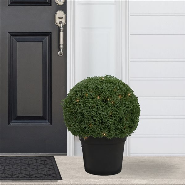 Northlight 20-In Pre-Lit Artificial Boxwood Ball Topiary in Round Pot