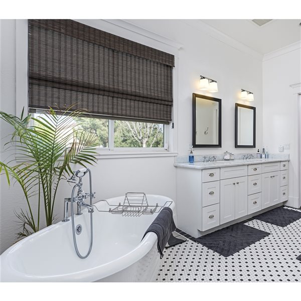 Z-lite Darcy 2-light Nickel Transitional Vanity Light