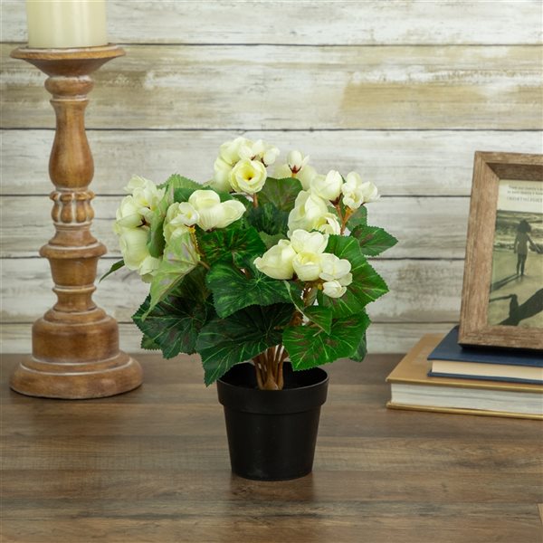 Northlight 11-in Ivory Potted Silk Begonia Spring Artificial Floral Arrangement