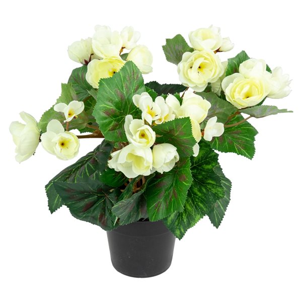 Northlight 11-in Ivory Potted Silk Begonia Spring Artificial Floral Arrangement