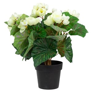 Northlight 11-in Ivory Potted Silk Begonia Spring Artificial Floral Arrangement