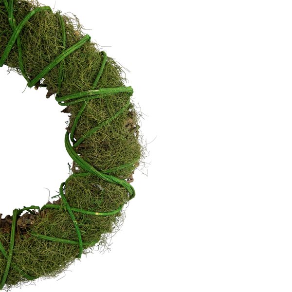 Northlight 15-in Green Moss and Vine Artificial Spring Twig Wreath