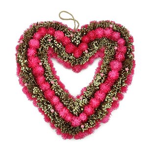 Northlight Pink Botanicals and Twigs Artificial Valentine's Day Heart Wreath