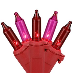 Northlight 50-Count Red and Pink Mini Valentine's Day Light Set with Red Wire